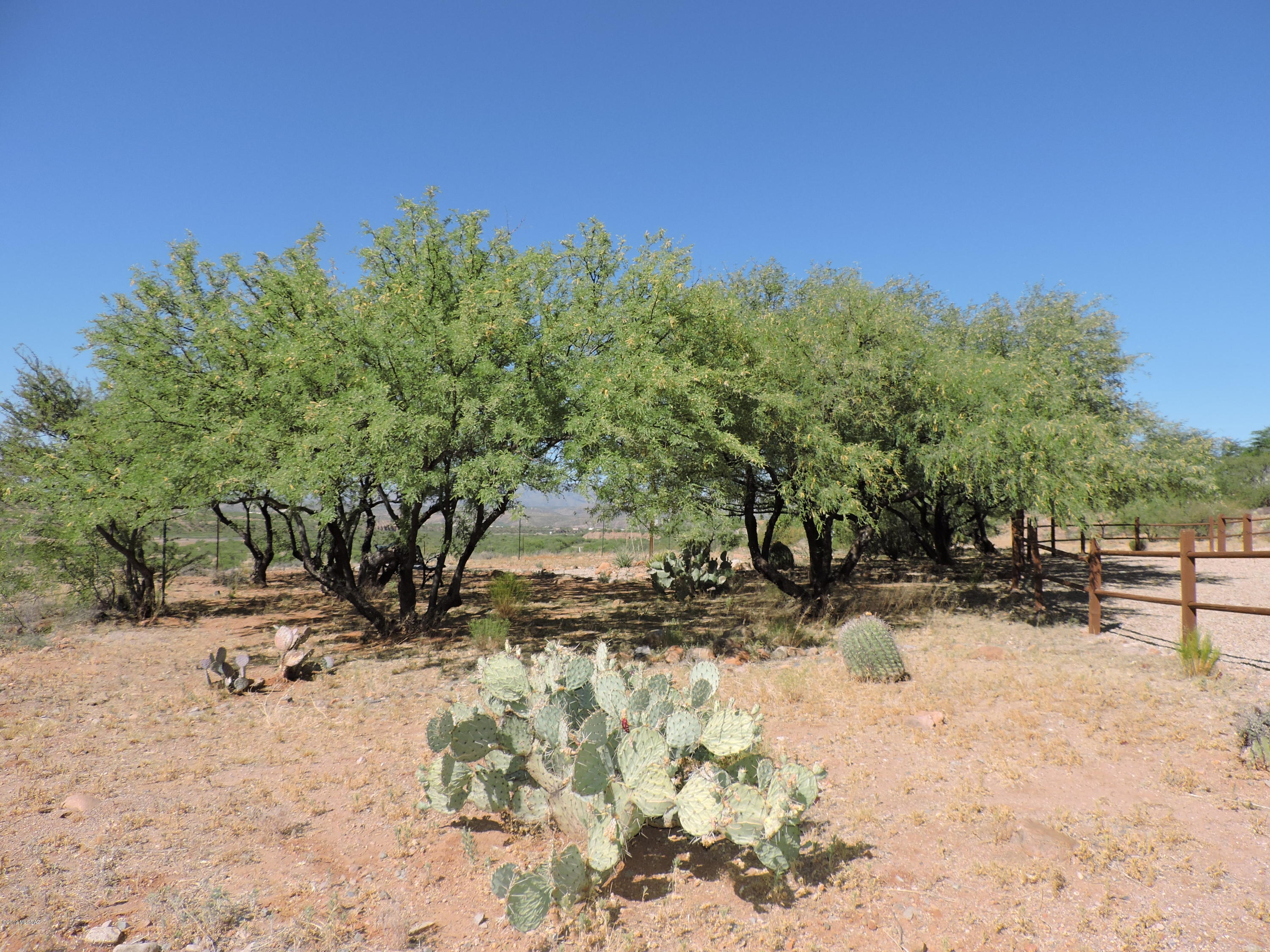 1786 Zimmer Court Rio Rico, AZ 85648 - Photo 42 of 42 a view of a yard covered with snow in the background