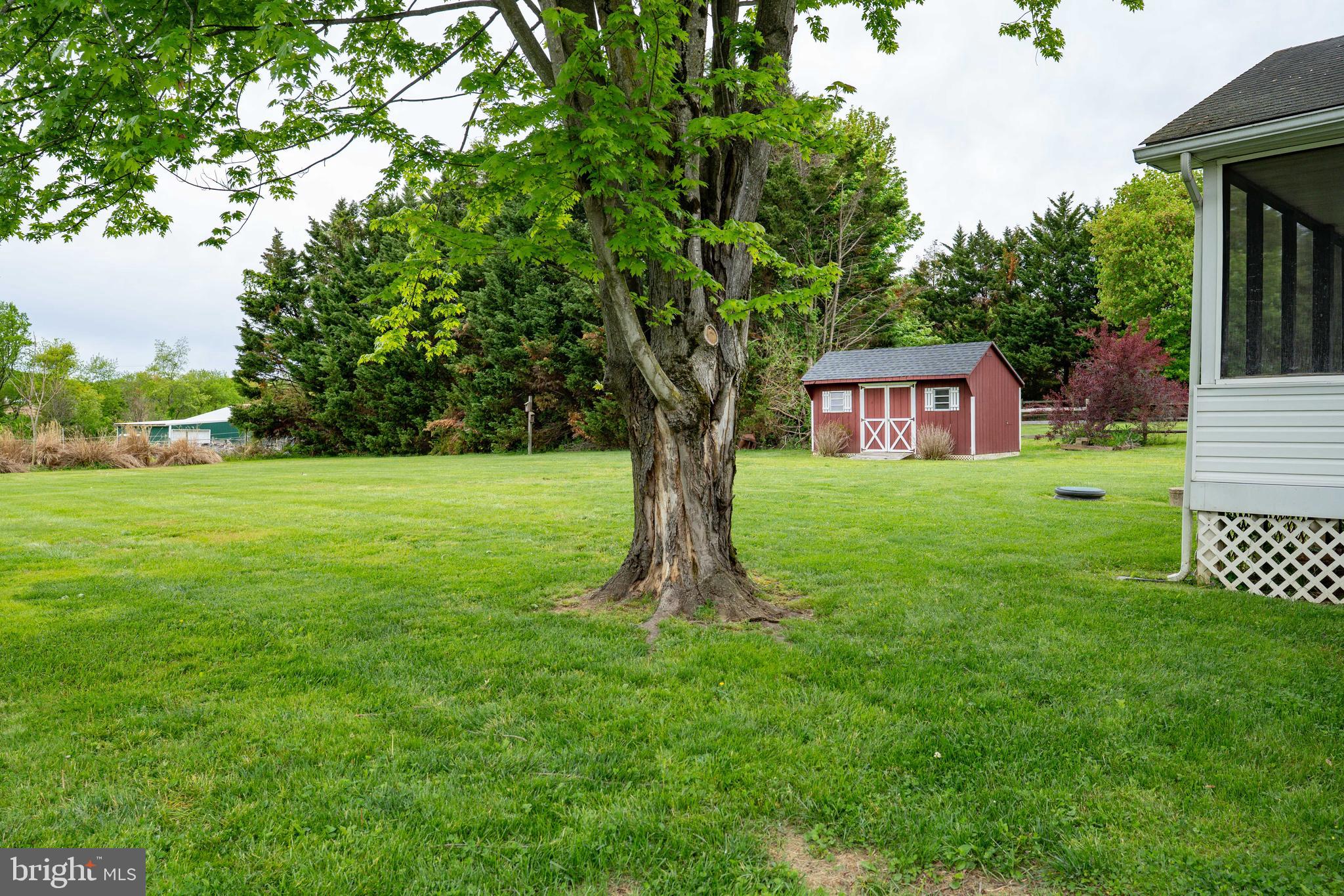 14 Country Side Loop Elkton, MD 21921 - Photo 4 of 23 Shed included