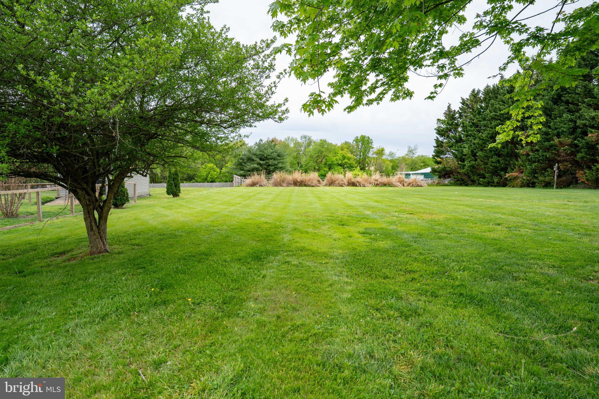 14 Country Side Loop Elkton, MD 21921 - Photo 5 of 23 Very large back yard