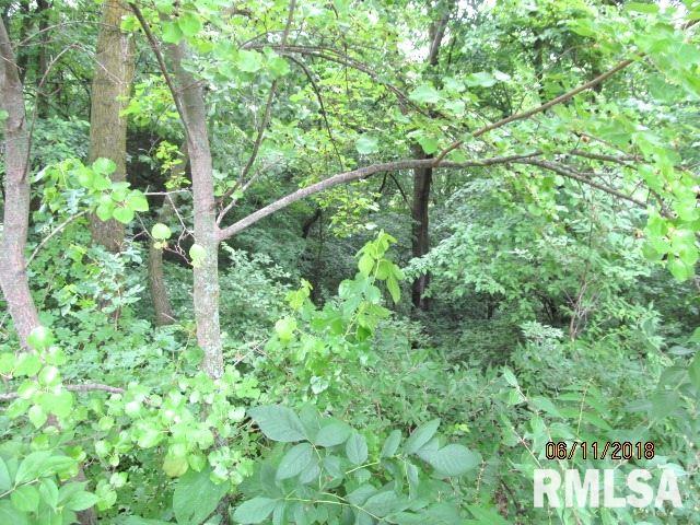 810 Partridge Point Road Metamora, IL 61548 - Photo 29 of 31