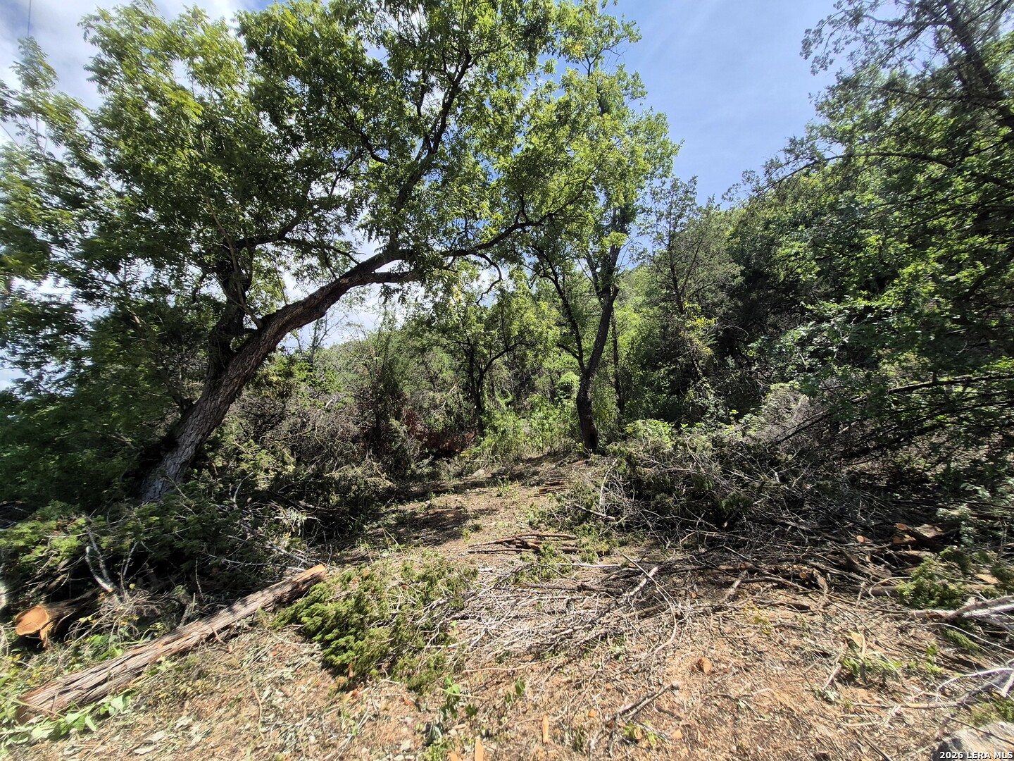 Tbd Mesa Verde Road Medina, TX 78055 - Photo 4 of 20