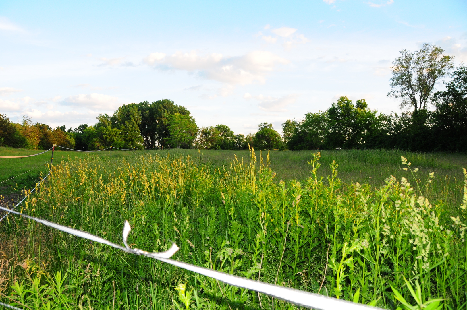 40W883 Plank Road Elgin, IL 60124 - Photo 20 of 47 a view of a lake with a big yard