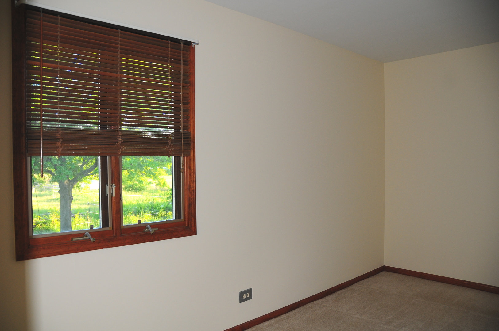 40W883 Plank Road Elgin, IL 60124 - Photo 39 of 47 a view of a window in an empty room