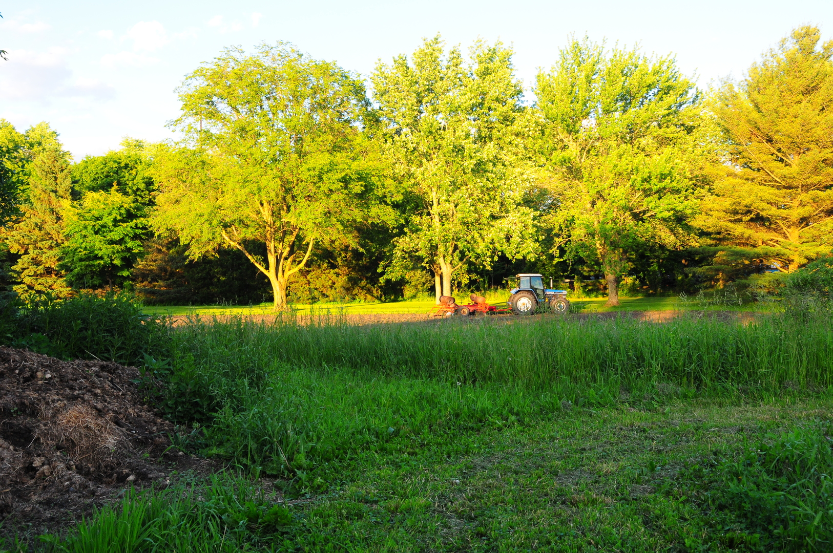 40W883 Plank Road Elgin, IL 60124 - Photo 42 of 47 a view of yard with green space