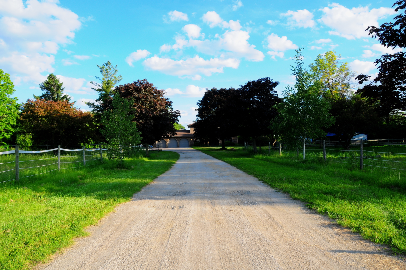 40W883 Plank Road Elgin, IL 60124 - Photo 5 of 47 a view of a park and trees with a big yard