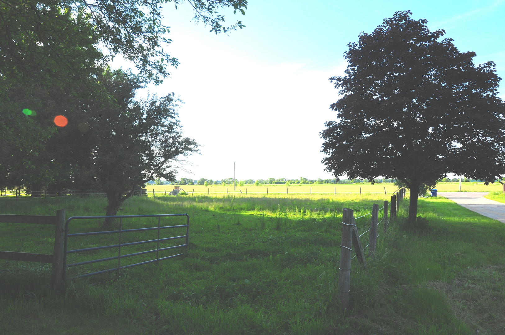 40W883 Plank Road Elgin, IL 60124 - Photo 6 of 47 a view of an ocean and a yard