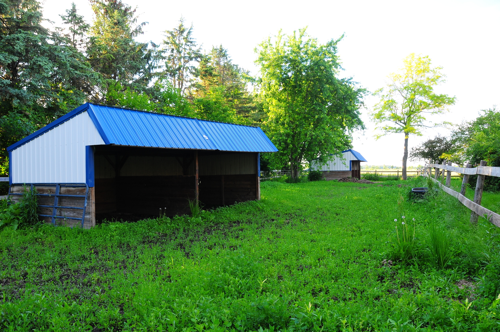 40W883 Plank Road Elgin, IL 60124 - Photo 8 of 47 a view of a house with a back yard