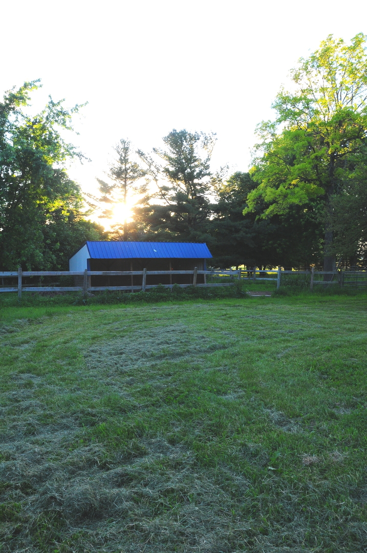 40W883 Plank Road Elgin, IL 60124 - Photo 9 of 47 a view of yard with grass and trees