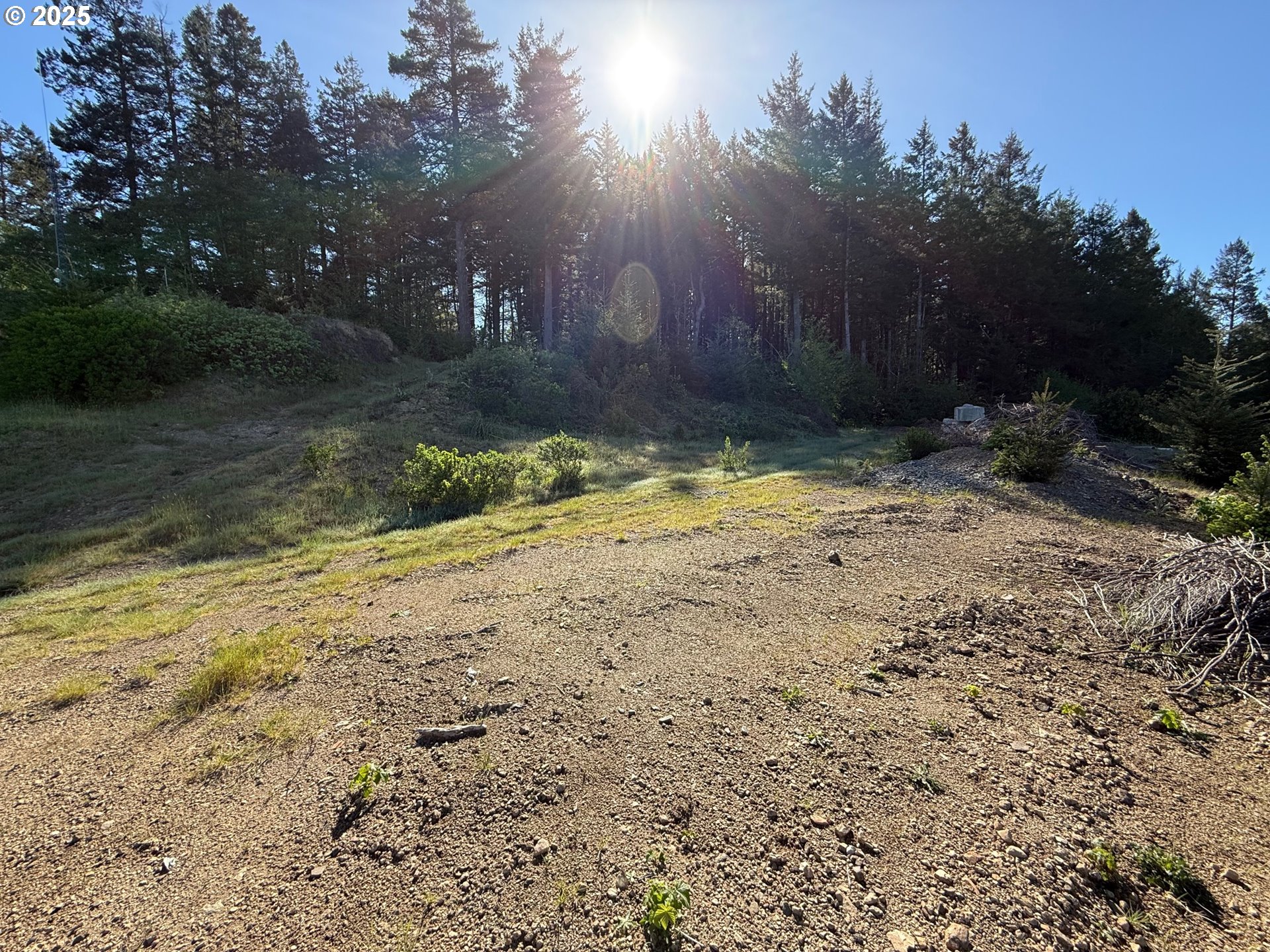 Jodel Court, Unit 3 Brookings, OR 97415 - Photo 14 of 18 a view of a yard with a tree