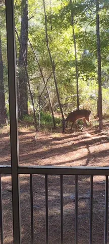 a view of a porch with wooden floor and stairs