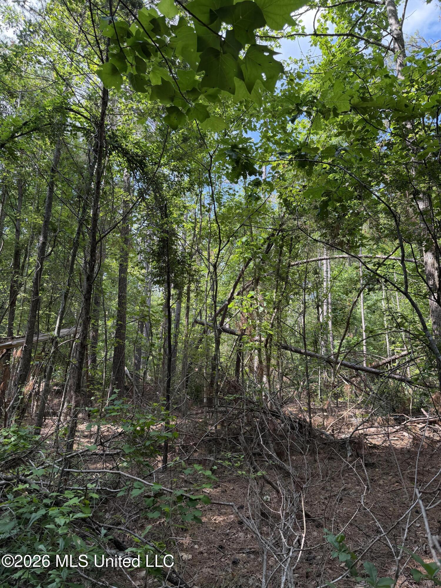 80 Co Road Como, MS 38619 - Photo 7 of 10 IMG_0096