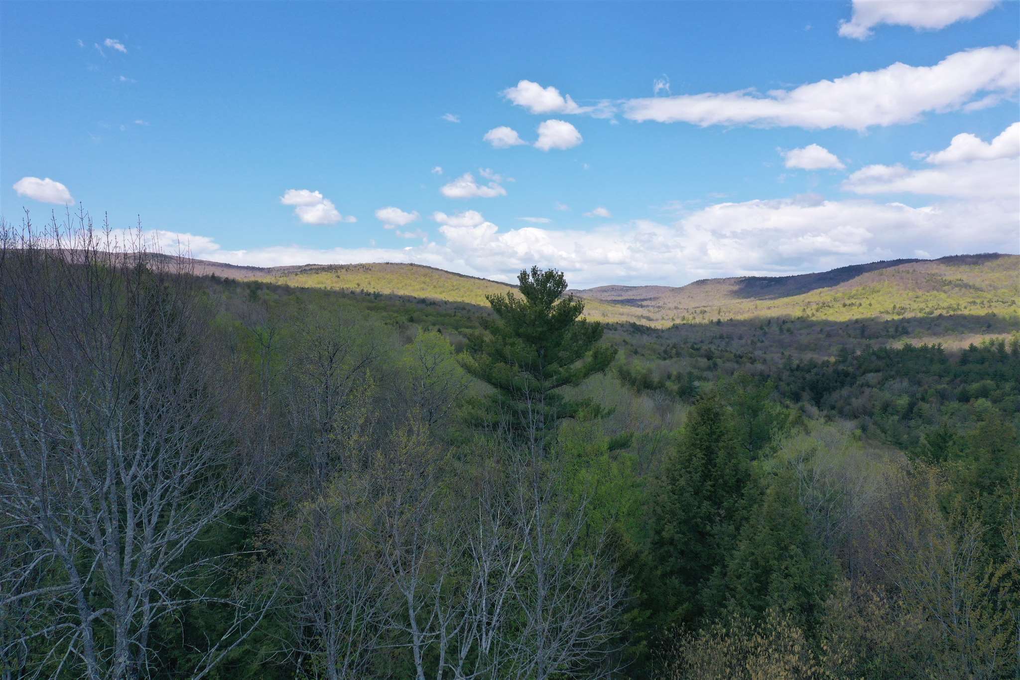 Newfound Hills Road, Unit 152 Alexandria, NH 03222 - Photo 1 of 11