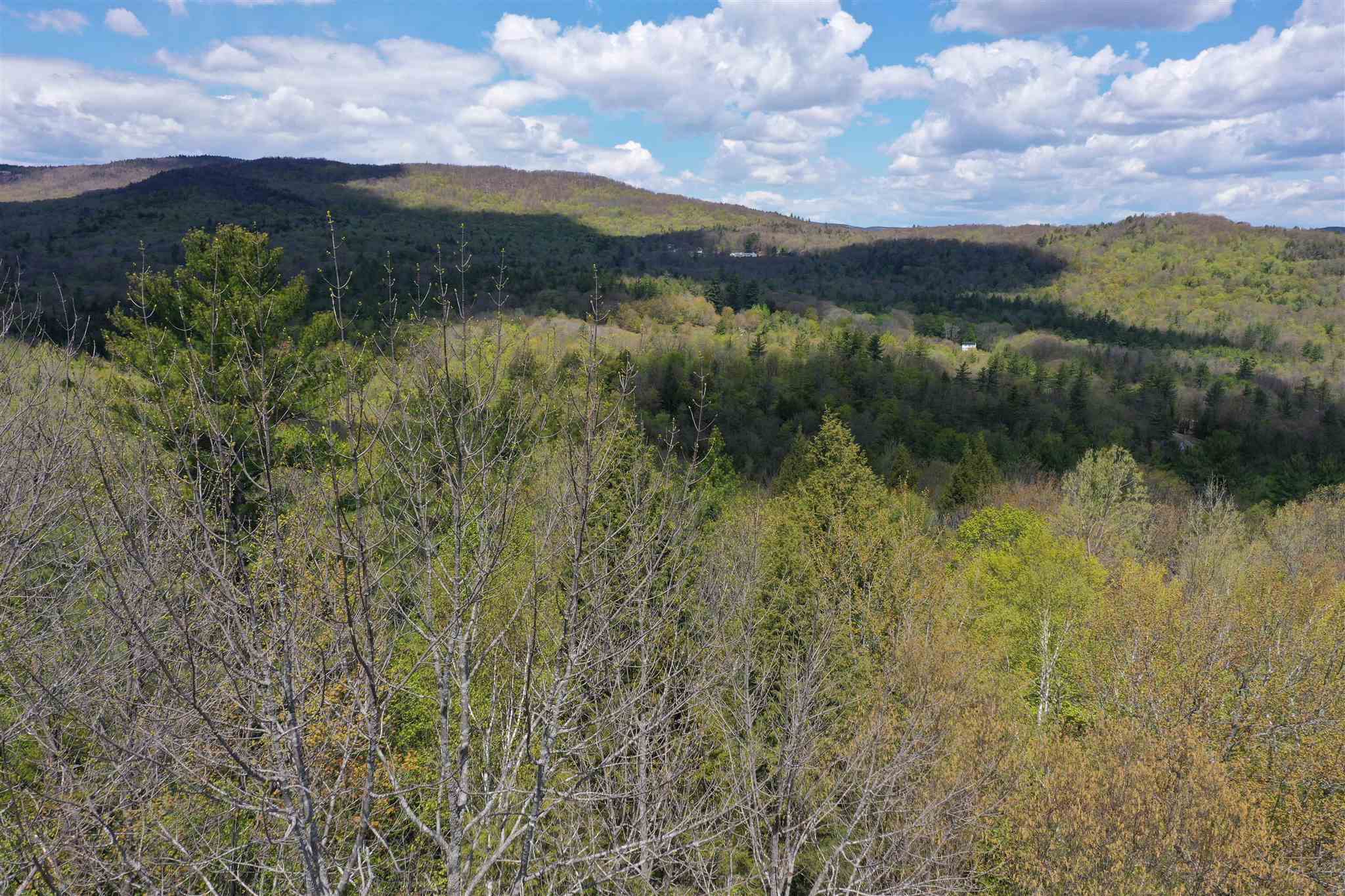 Newfound Hills Road, Unit 152 Alexandria, NH 03222 - Photo 2 of 11