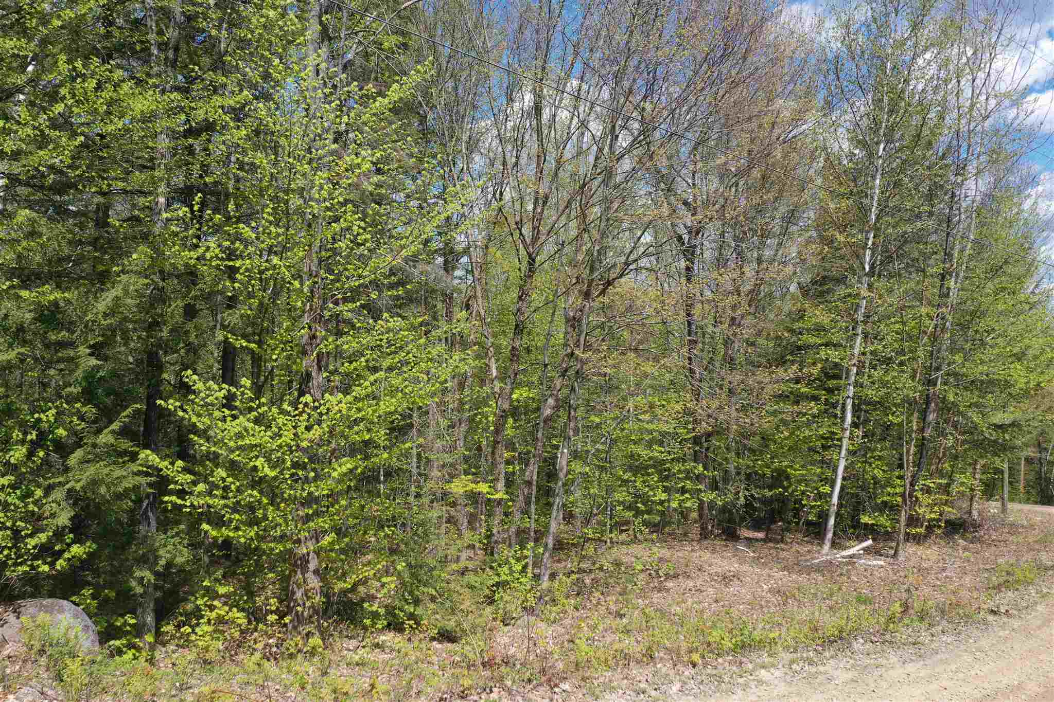 Newfound Hills Road, Unit 152 Alexandria, NH 03222 - Photo 3 of 11