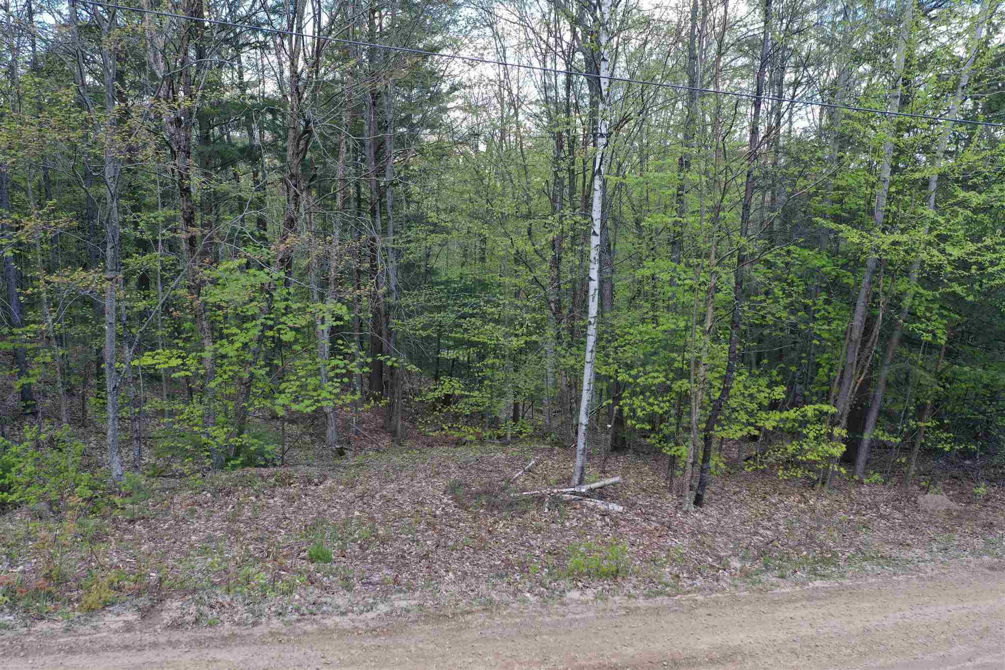 Newfound Hills Road, Unit 152 Alexandria, NH 03222 - Photo 4 of 11