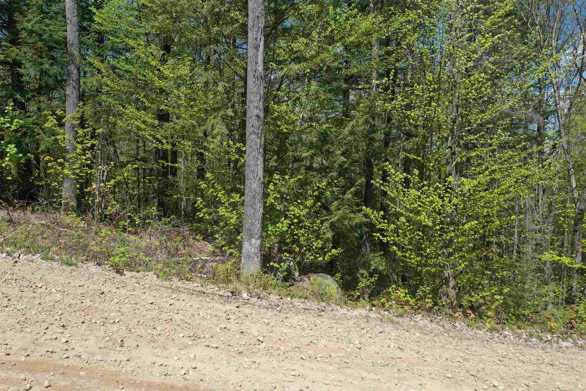 Newfound Hills Road, Unit 152 Alexandria, NH 03222 - Photo 5 of 11