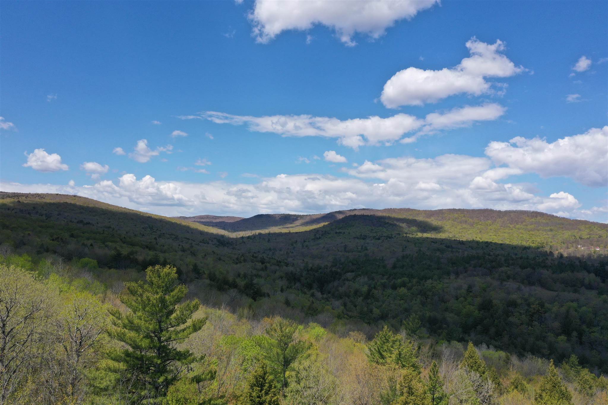 Newfound Hills Road, Unit 152 Alexandria, NH 03222 - Photo 10 of 11