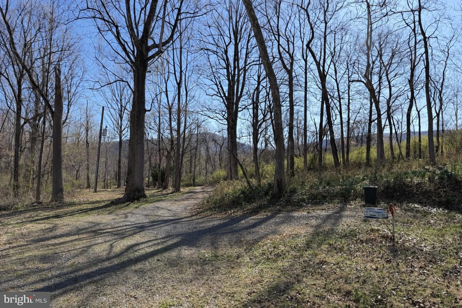 126 Mill Hill Road Huntly, VA 22640 - Photo 3 of 12 Seasonal mountain views from the large front porch