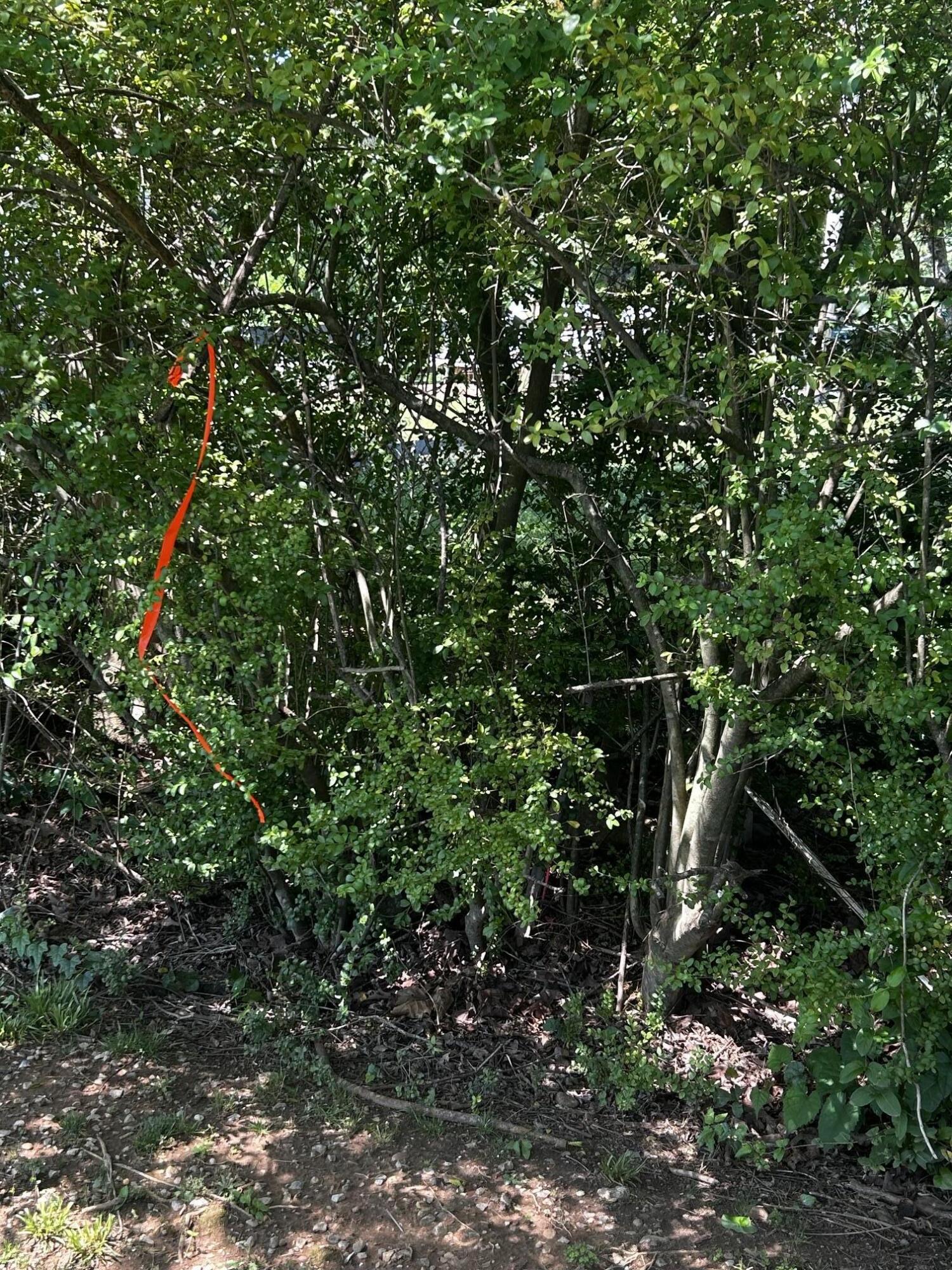 573 South Judd Road Decatur, TN 37322 - Photo 33 of 37 Judd corner 2