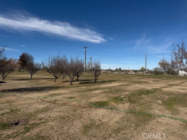 4679 Gorgonio Road Phelan, CA 92371 - Photo 4 of 17 a view of dirt field with trees