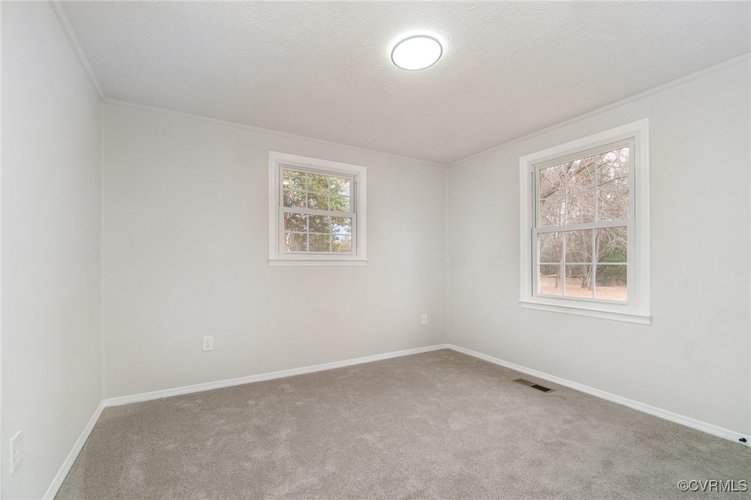 19256 Perimeter Road Milford, VA 22514 - Photo 15 of 29 Carpeted spare room featuring crown molding