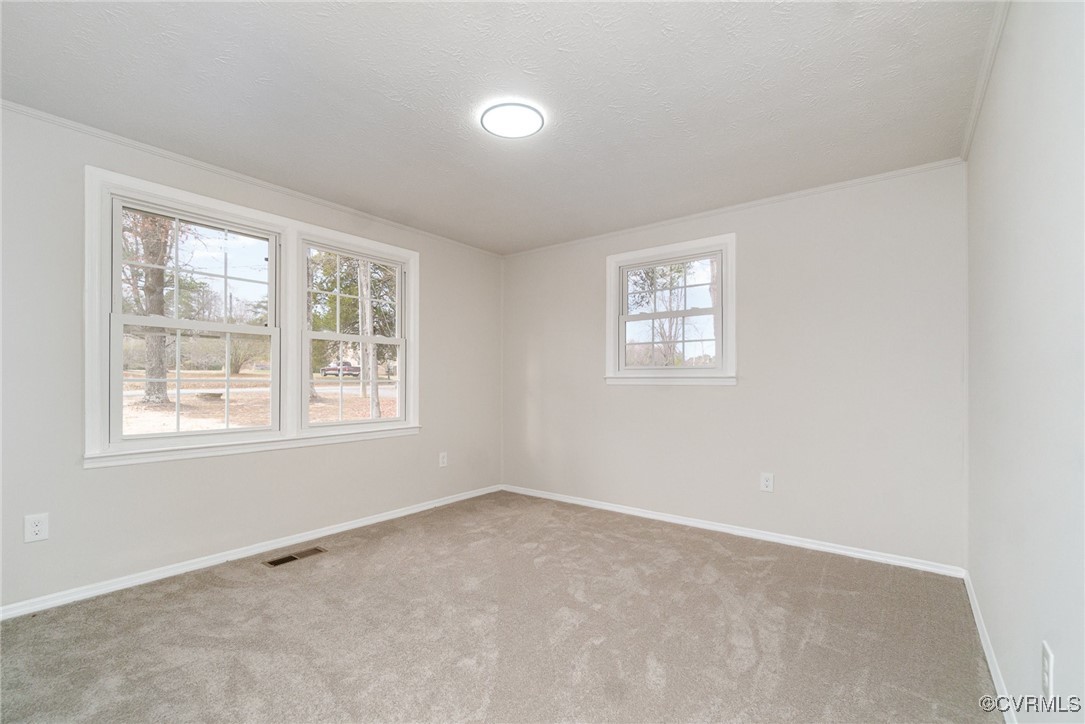 19256 Perimeter Road Milford, VA 22514 - Photo 16 of 29 Spare room with light carpet and a textured ceilin