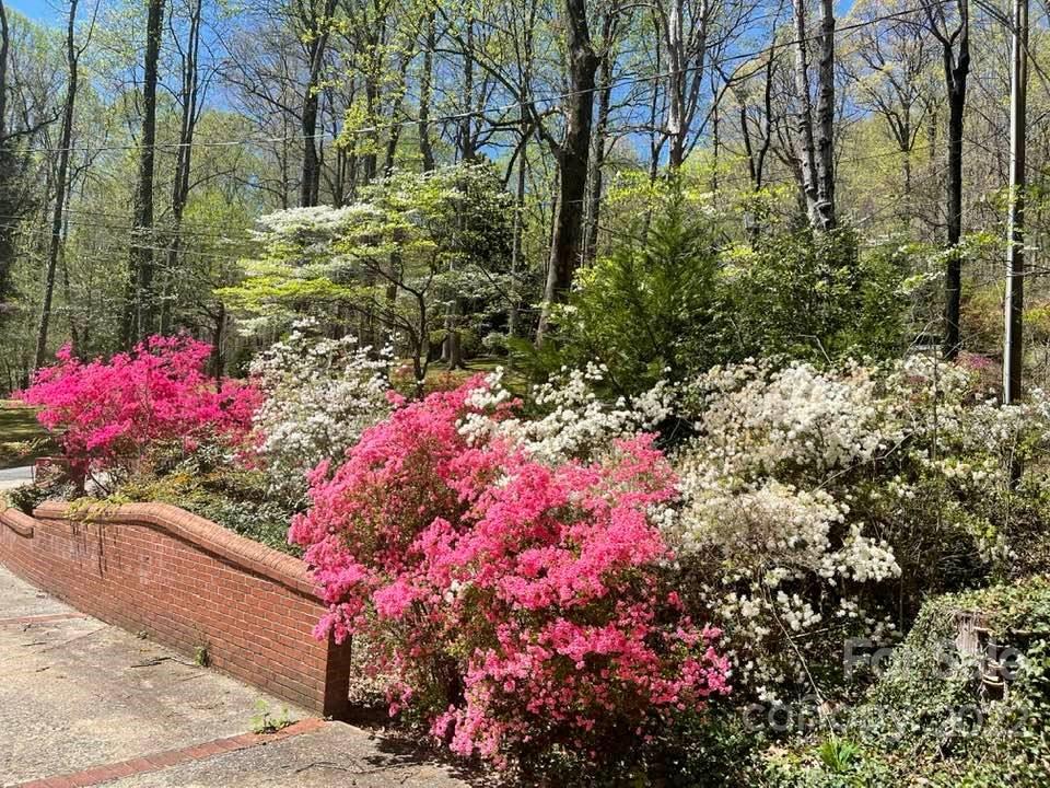 140 Jericho Drive Tryon, NC 28782 - Photo 46 of 48 Gallery Image 46