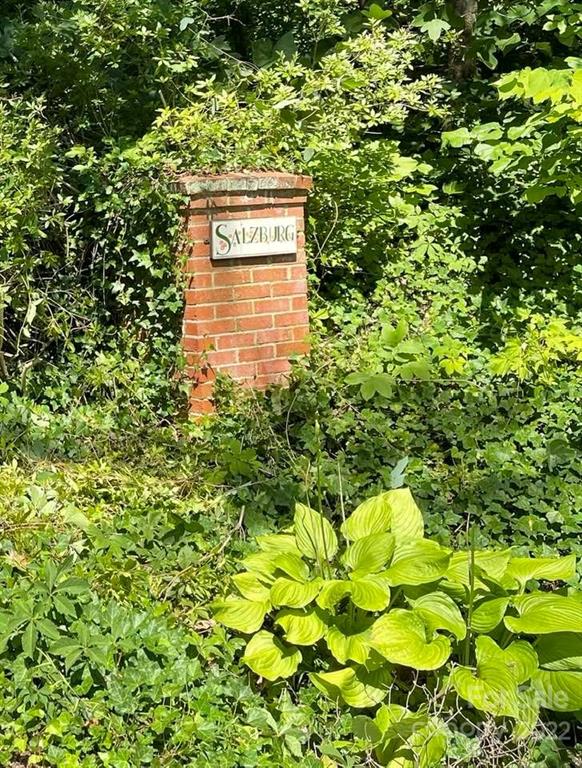 140 Jericho Drive Tryon, NC 28782 - Photo 48 of 48 Gallery Image 48