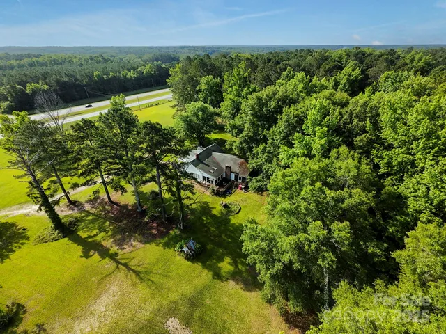 a view of a bunch of plants and trees