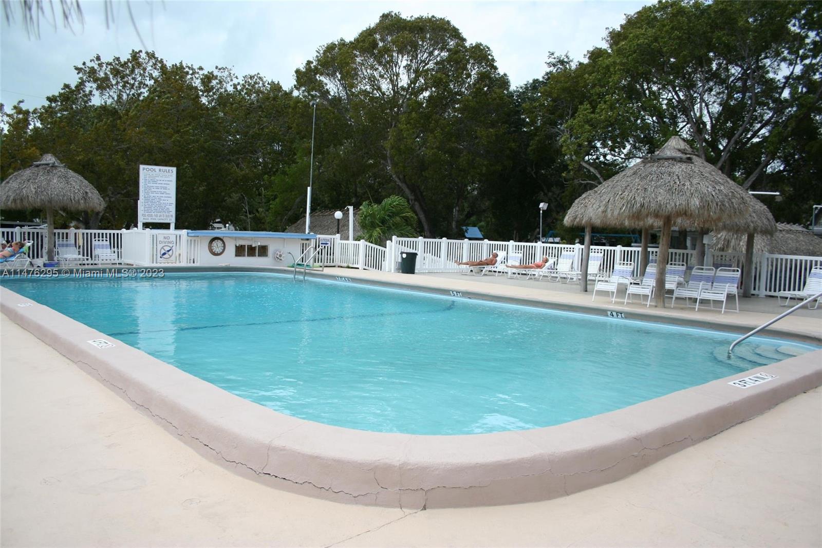 Key Largo Key Largo, FL 33037 - Photo 8 of 18 a view of a swimming pool with a garden and trees