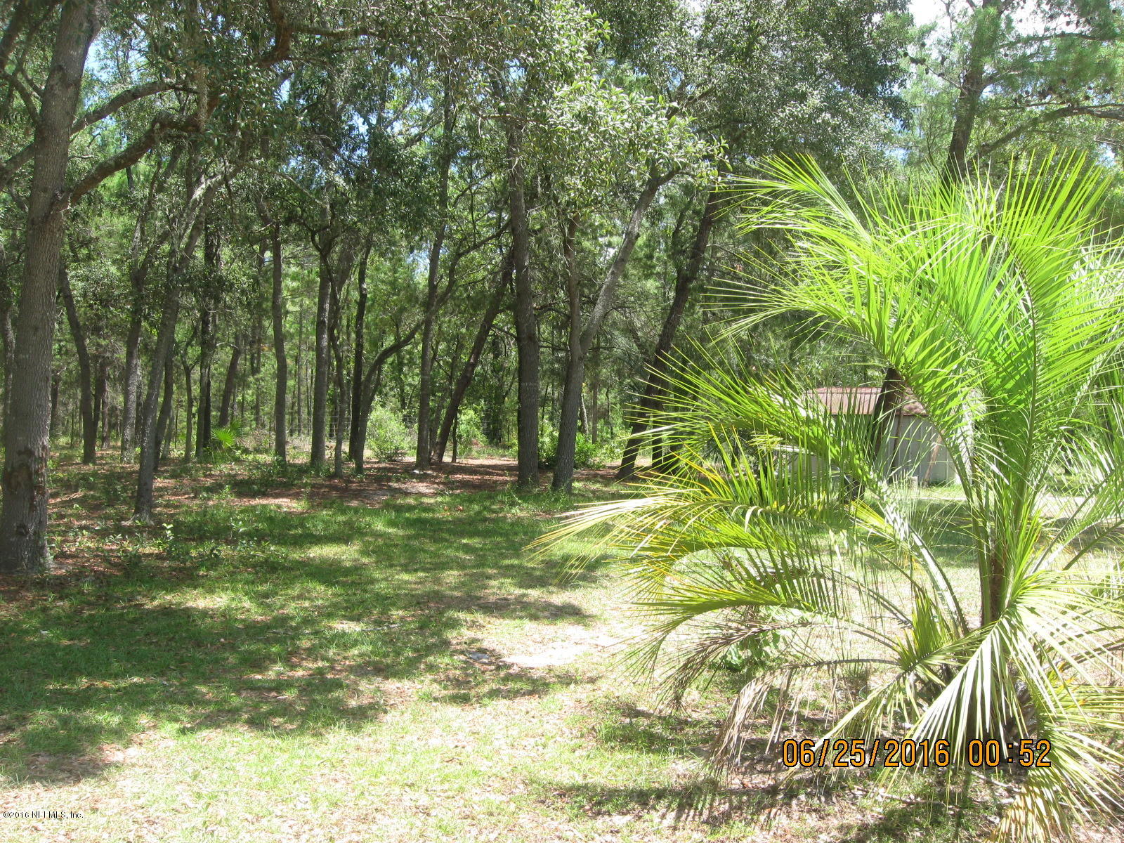 4346 M Lake Road Keystone Heights, FL 32656 - Photo 4 of 17 IMG_0473