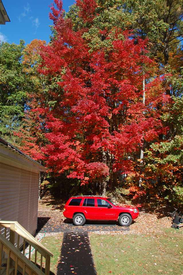 20 Kodiak Road Brookline, NH 03033 - Photo 26 of 26