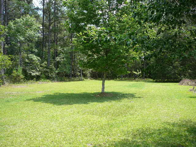 1045 Deer Trail Road Santee, SC 29142 - Photo 24 of 25 Large Yard