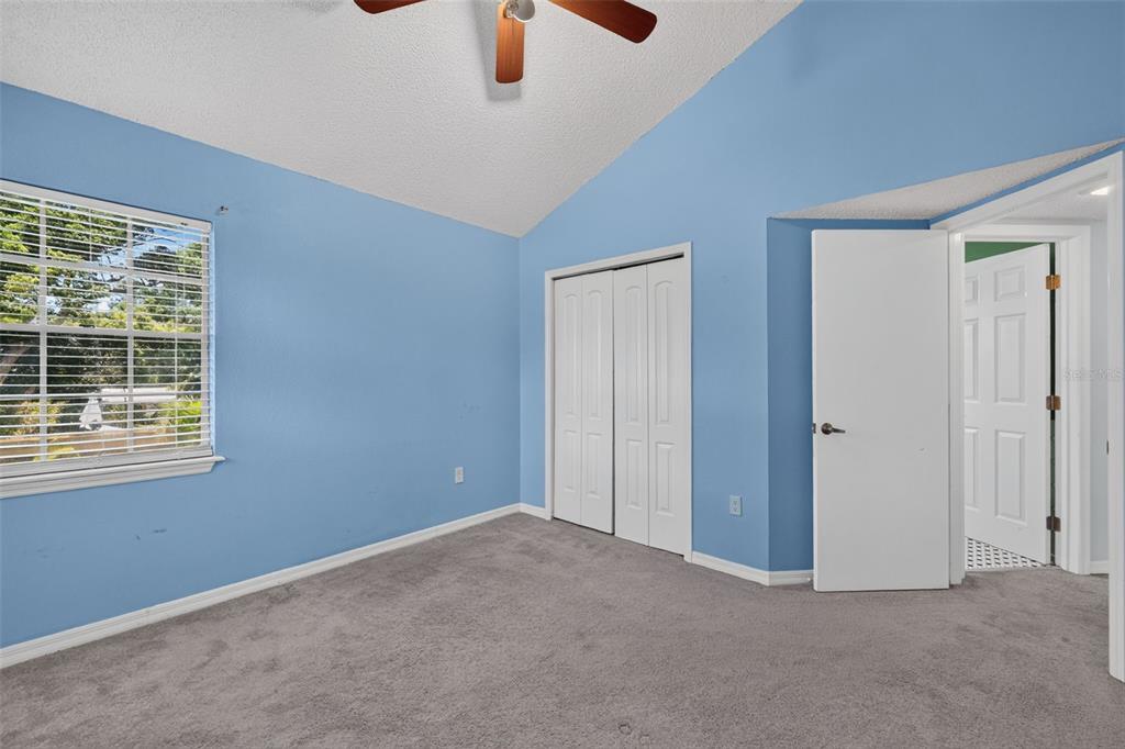 703 Riverside Drive Tarpon Springs, FL 34689 - Photo 33 of 47
