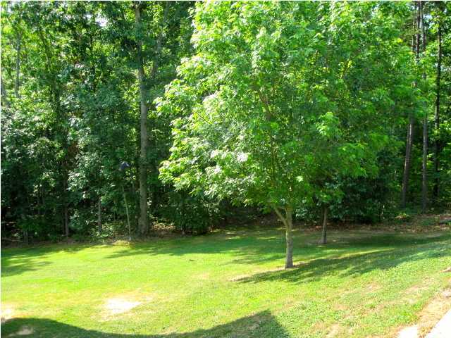 5803 Hunter Valley Road Ooltewah, TN 37363 - Photo 21 of 25 Additional Photo