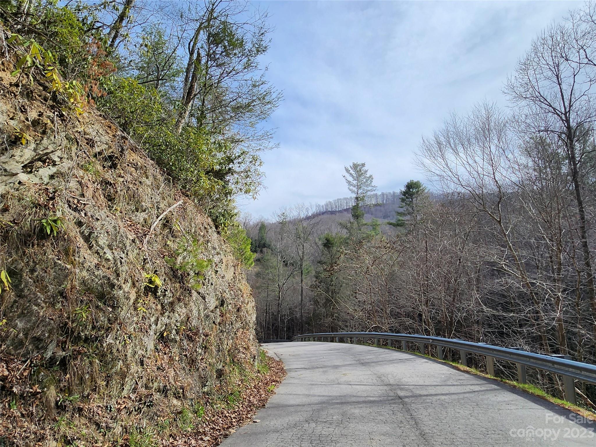 435 Pine Cone Trail Marshall, NC 28753 - Photo 12 of 34 a view of a yard