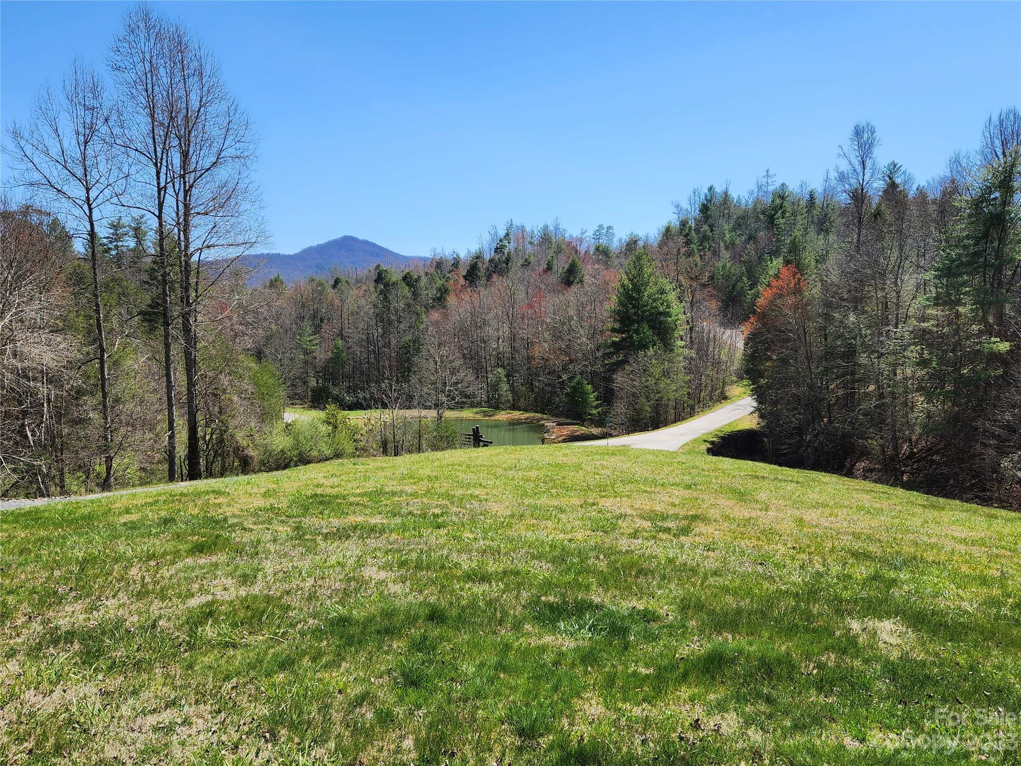 435 Pine Cone Trail Marshall, NC 28753 - Photo 16 of 34 a view of a big yard with trees in the background