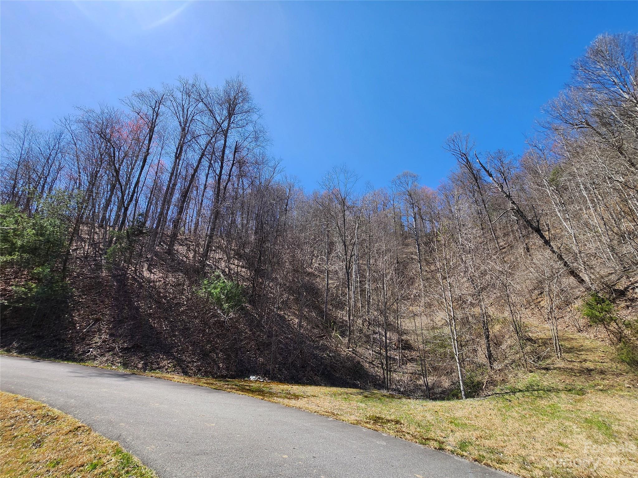 435 Pine Cone Trail Marshall, NC 28753 - Photo 24 of 34 a view of a yard with wooden fence
