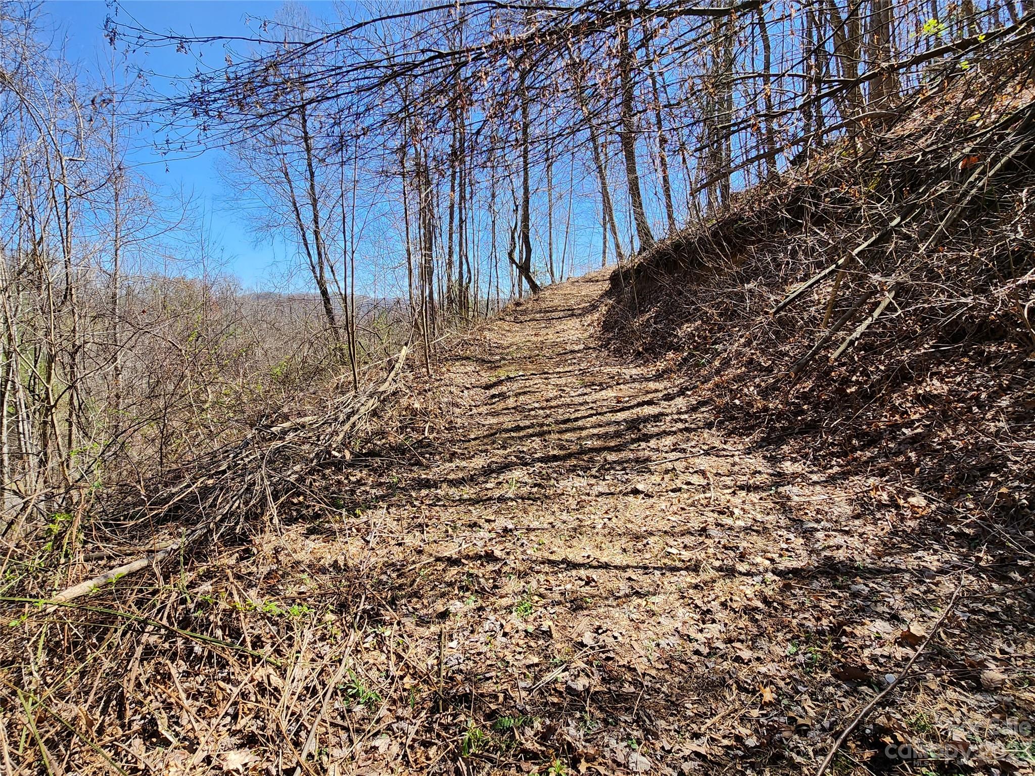 435 Pine Cone Trail Marshall, NC 28753 - Photo 29 of 34 a view of a yard with a tree