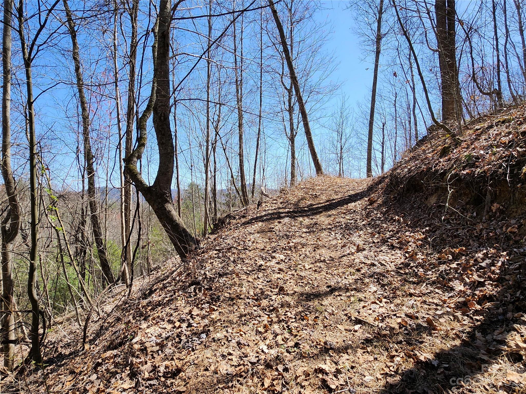 435 Pine Cone Trail Marshall, NC 28753 - Photo 30 of 34 a view of a backyard