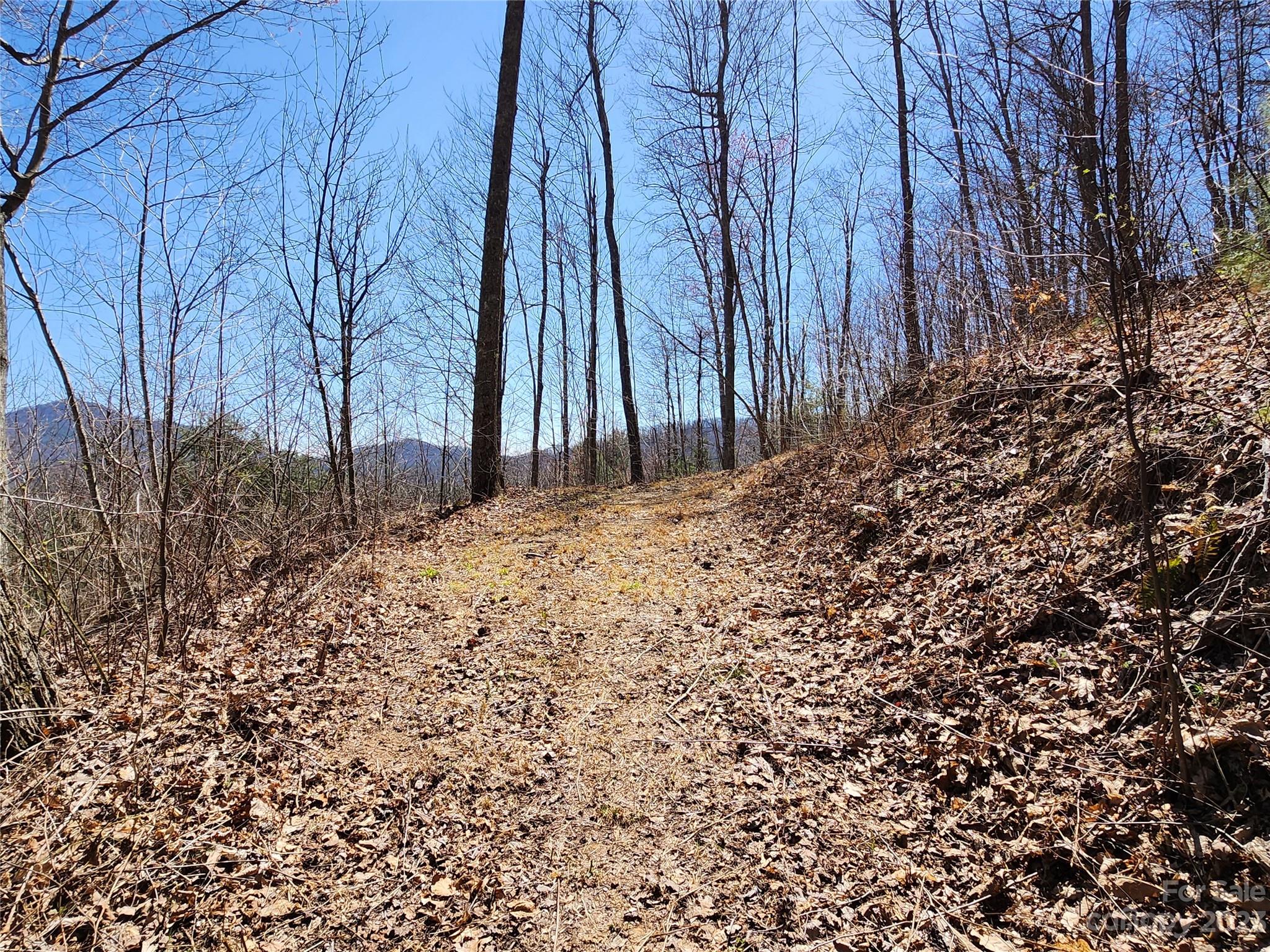435 Pine Cone Trail Marshall, NC 28753 - Photo 31 of 34 a view of wooden fence of a house