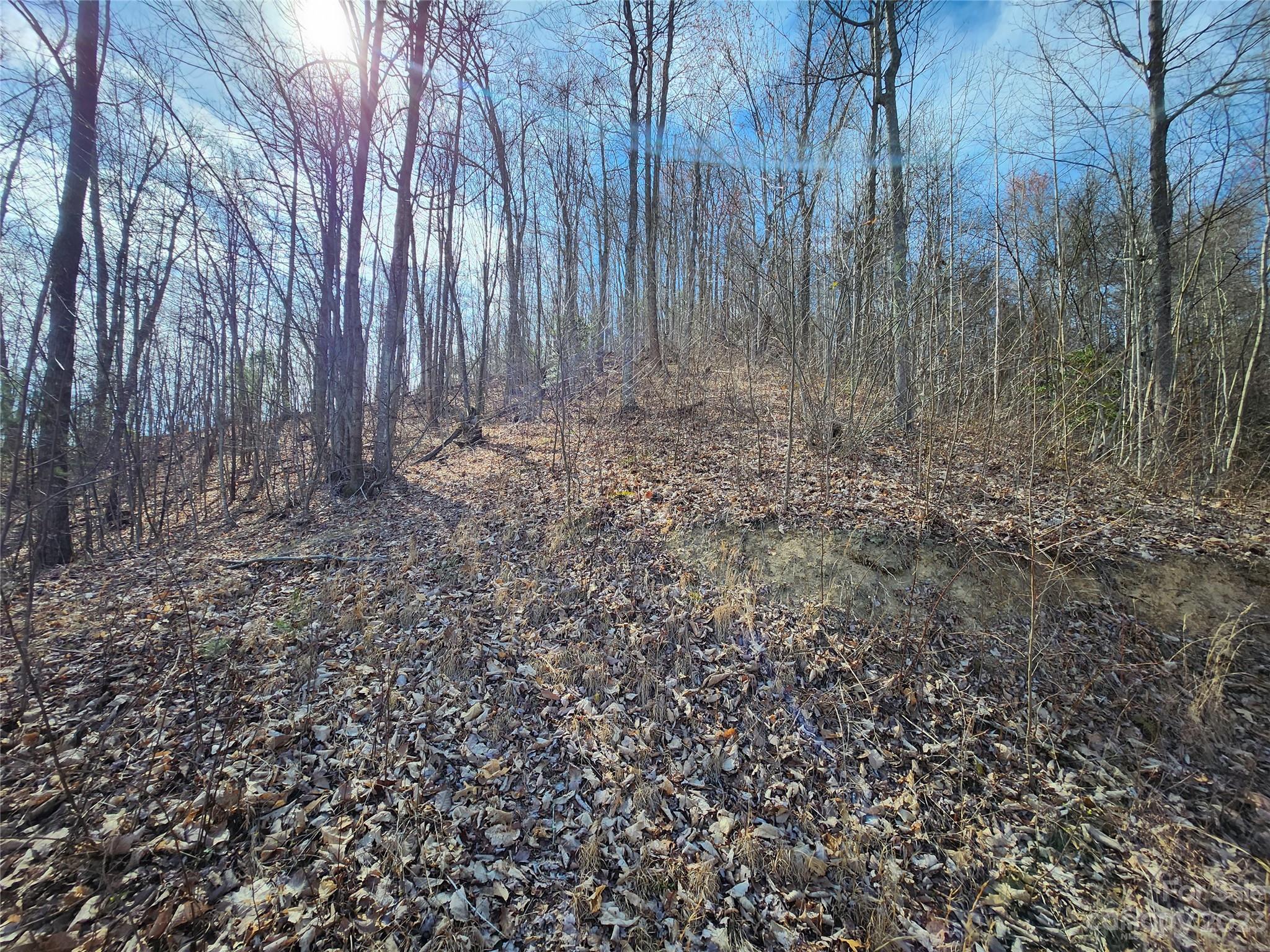 435 Pine Cone Trail Marshall, NC 28753 - Photo 32 of 34 a view of backyard with tree