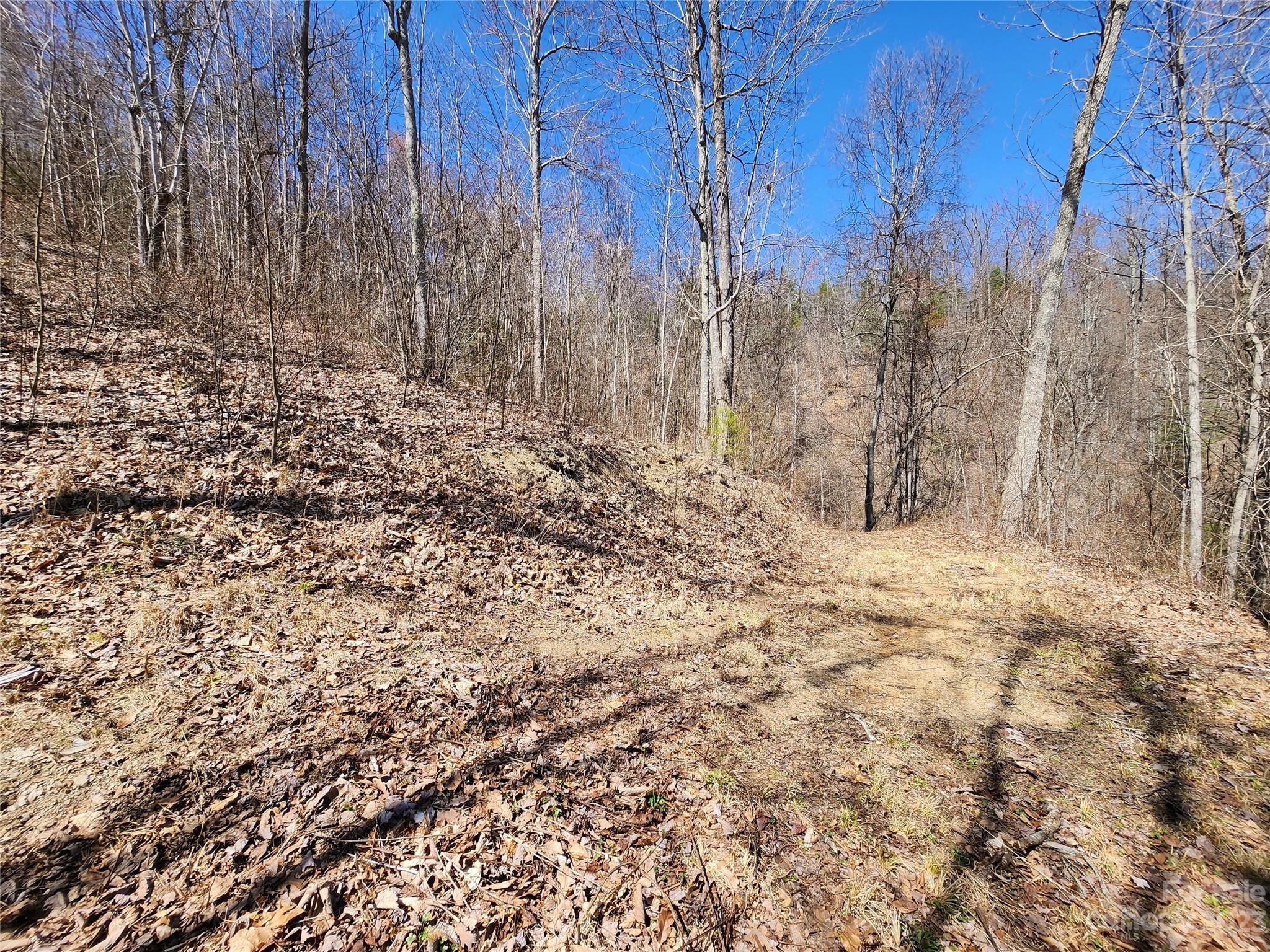 435 Pine Cone Trail Marshall, NC 28753 - Photo 33 of 34 a view of a yard covered with snow