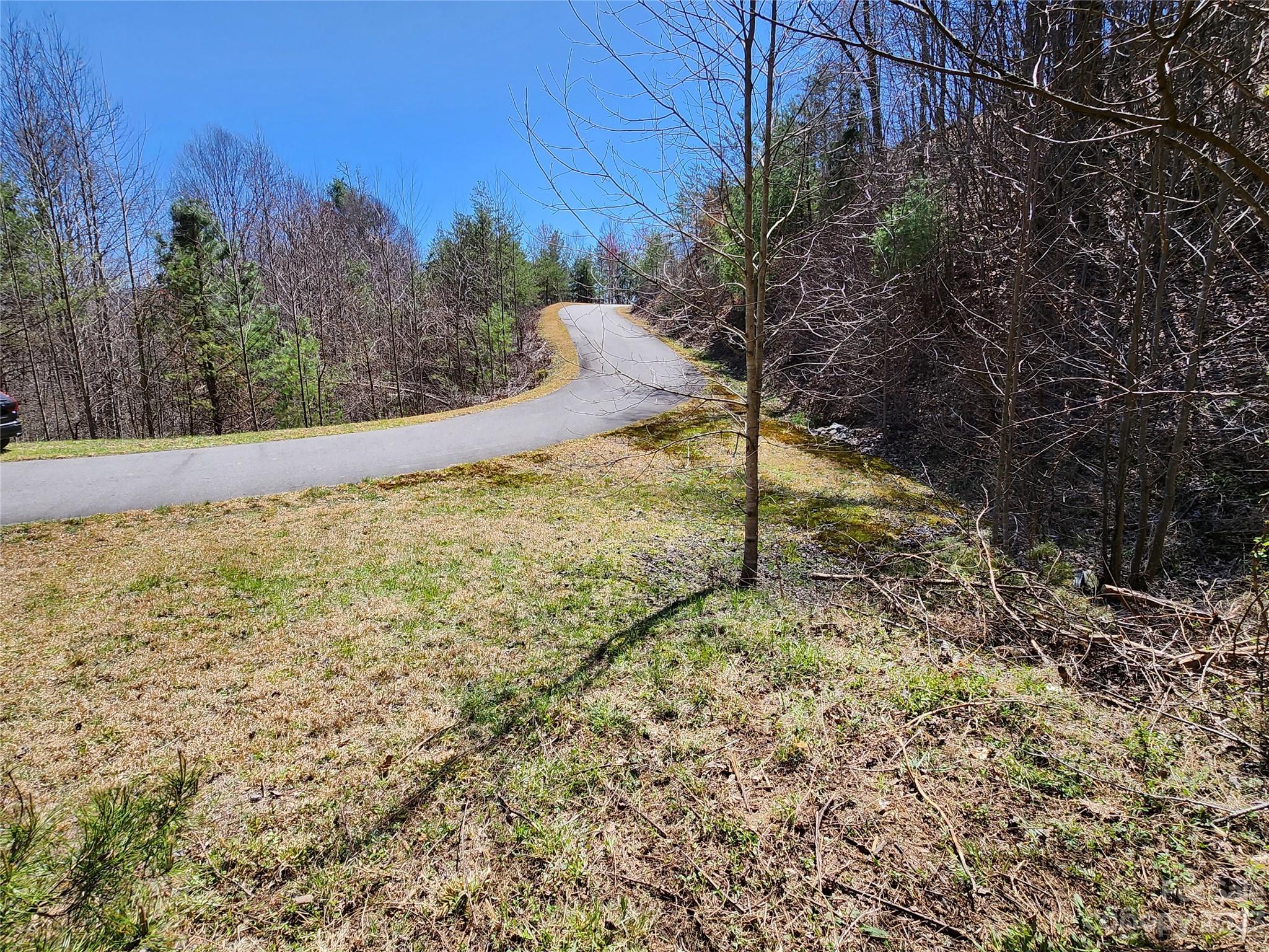 435 Pine Cone Trail Marshall, NC 28753 - Photo 34 of 34 a view of a yard