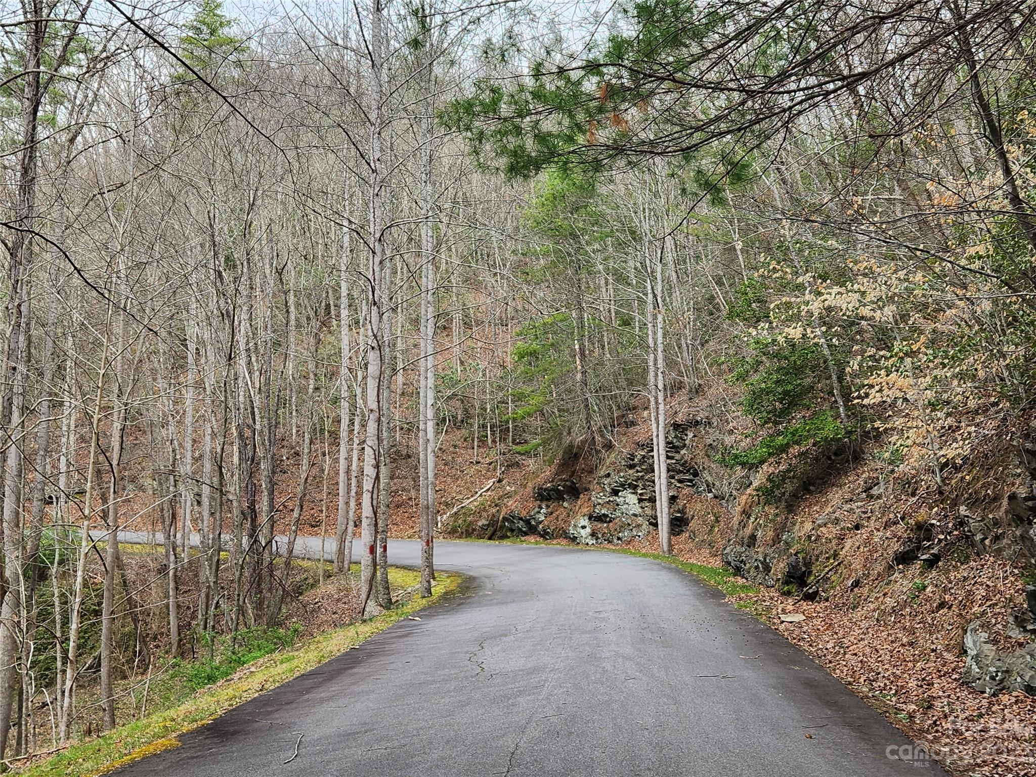 435 Pine Cone Trail Marshall, NC 28753 - Photo 7 of 34 a view of a road with wooden fence and tall trees
