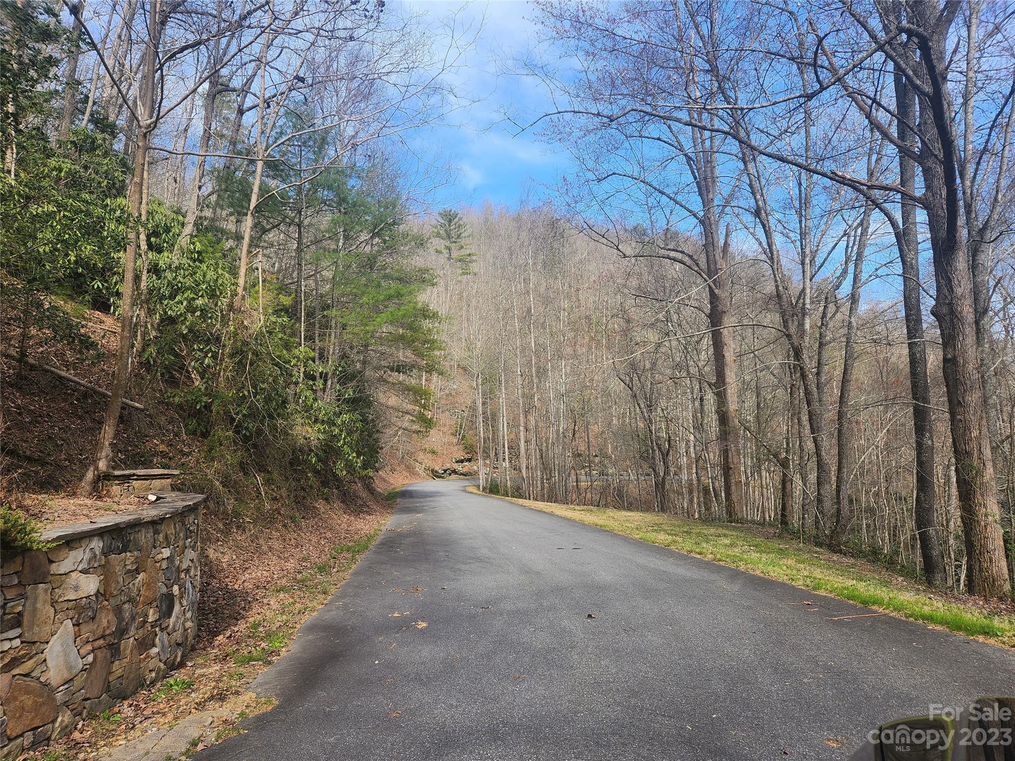 435 Pine Cone Trail Marshall, NC 28753 - Photo 9 of 34 a view of a yard with trees