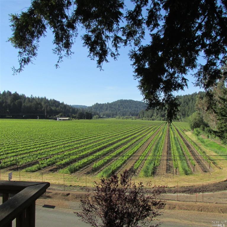16658 Watson Road Guerneville, CA 95446 - Photo 1 of 1 Gallery Image 1
