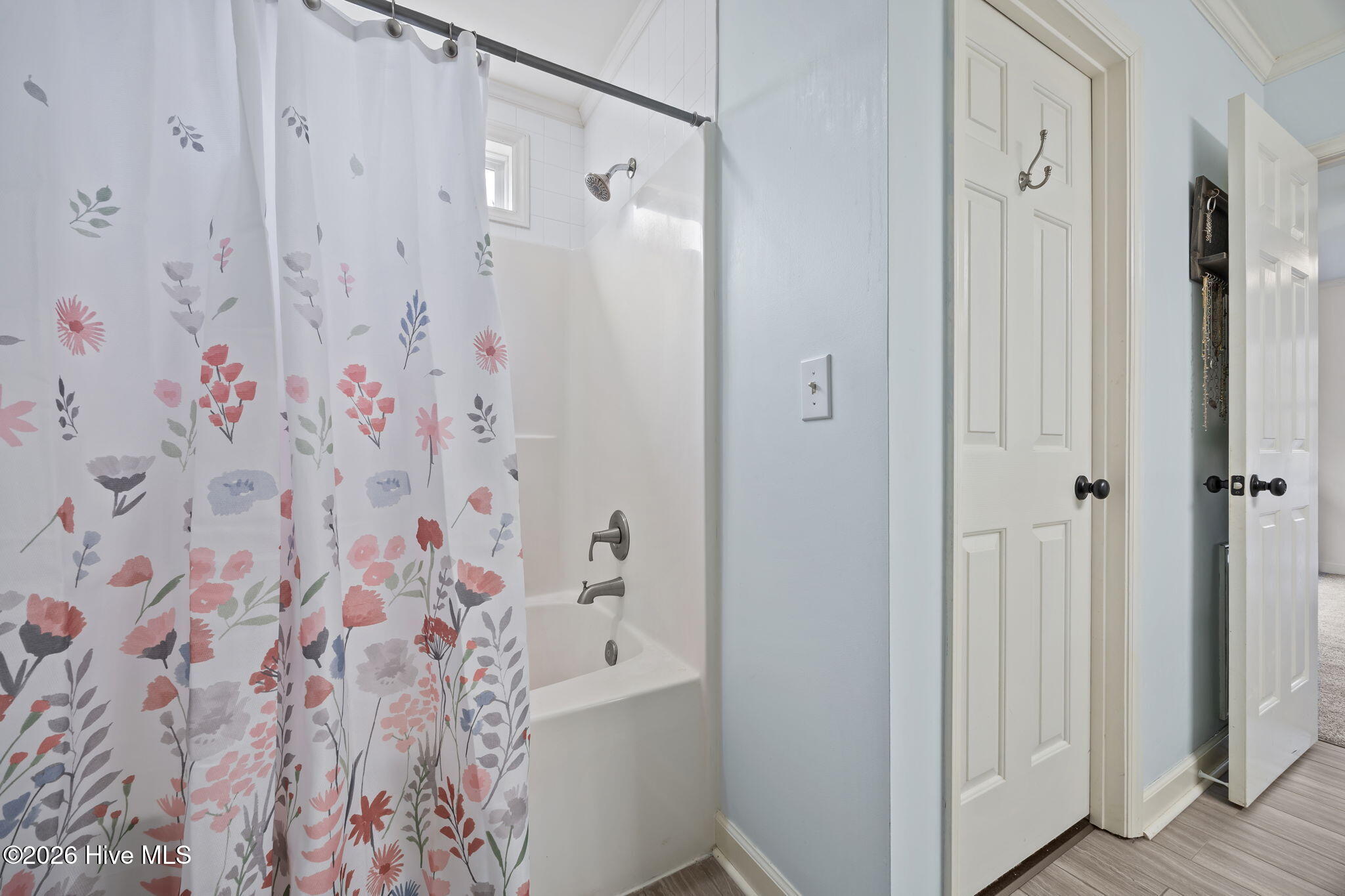 755 Breezy Shore Road Bath, NC 27808 - Photo 20 of 39 32-web-or-mls-IMG_0027