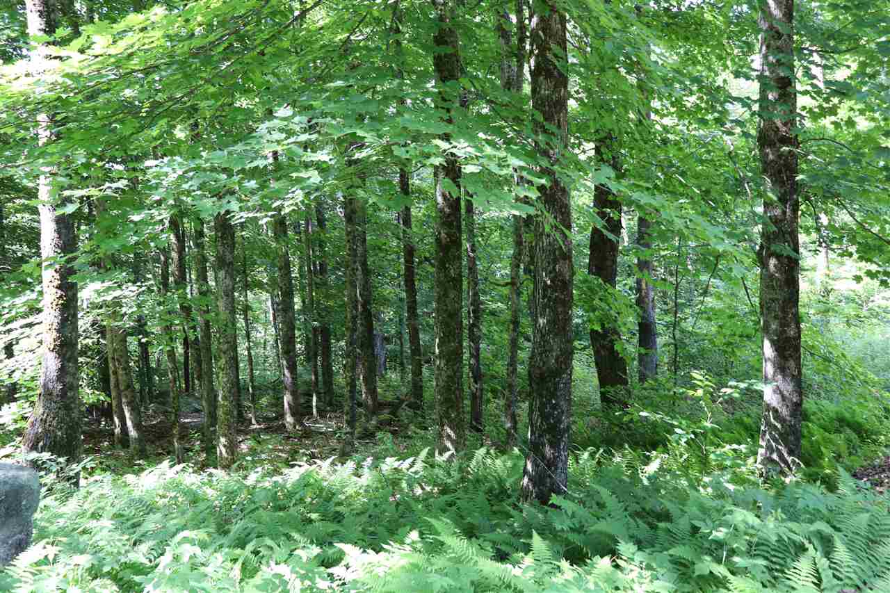 210 Bennett Mill Road Barre, VT 05641 - Photo 19 of 32