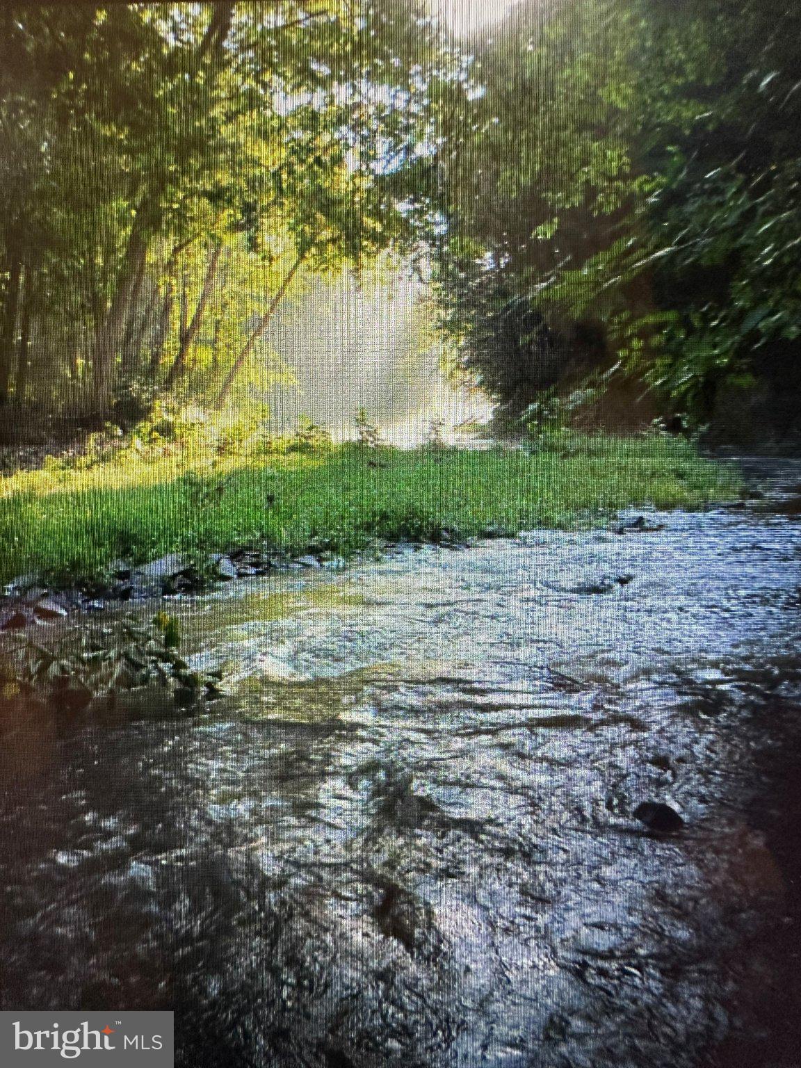 9184 Cold Stream Road Capon Bridge, WV 26711 - Photo 1 of 55 Gallery Image 1